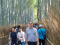 I bambulunden Arashiyama, Kyoto.