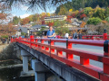 Snygg bro i Takayama