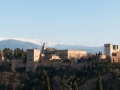 Alhambra med Sierra Nevada
